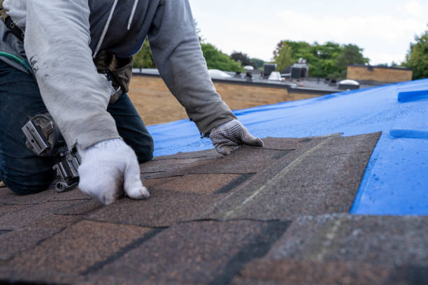 Best Roof Waterproofing  in Newport, SC