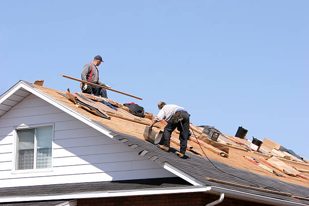 Waterproofing in Newport, SC